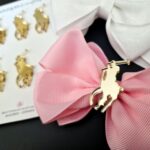 Ralph Lauren ( Polo )